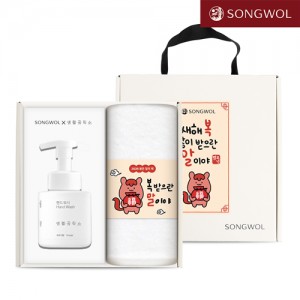 송월 핸드워시 기프트세트 19 (붉은 말이야 띠지 호텔수건 150g 1P + 생활공작소250ml 1P)