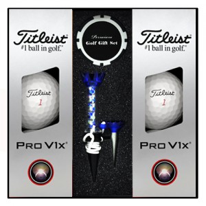 타이틀리스트 PRO V1x 6구 볼마커 칩 자석티세트