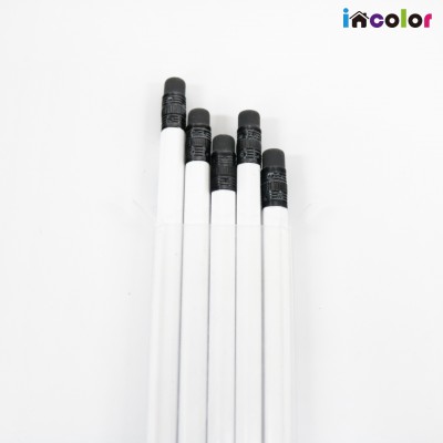 incolor 투명케이스 5본입 화이트 육각 연필 (2B)