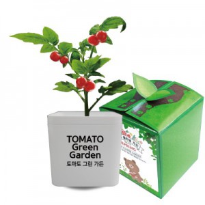 토마토 그린가든 씨앗