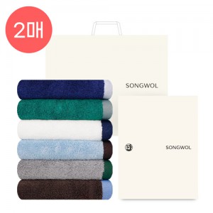송월 뱀부 포레스트40 (220g) 2P 타올세트