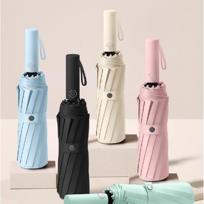 Blossom 60K 더블 프레임 블랙코팅 3단 12K 자동양우산 1P