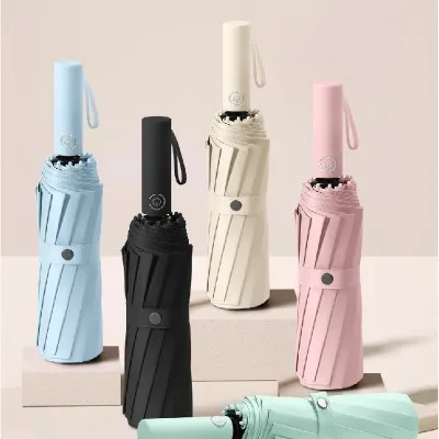 Blossom 60K 더블 프레임 블랙코팅 3단 12K 자동양우산 1P