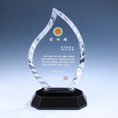 우드 조각 크리스탈 상패 8) 211-2