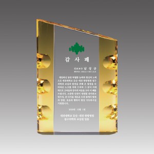 G2108_ 크리스탈상패
