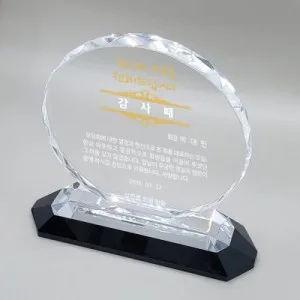 hs-02 태양화 투톤상패