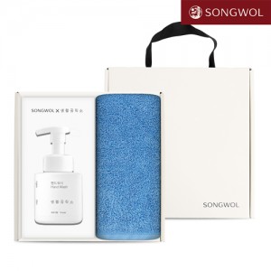 송월 핸드워시 기프트세트 09 (항균 프리미엄 무지 170g 1P + 생활공작소250ml 1P)