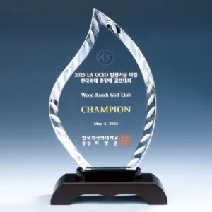 조각 우드 크리스탈 상패 8) 170-2