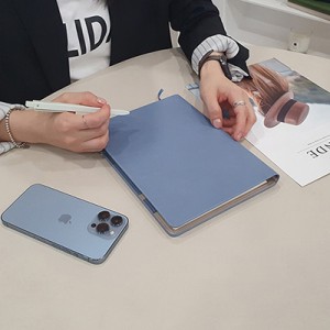 프로 인스프링 다이어리 (25절)