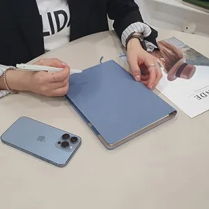 프로 인스프링 다이어리 (25절)