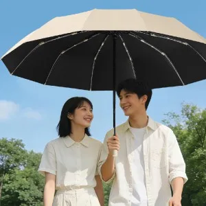 Blossom 60K 더블 프레임 블랙코팅 3단 12K 자동양우산 1P
