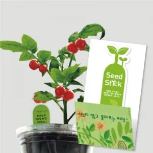 토마토 씨드스틱(Seed stick) 카드형