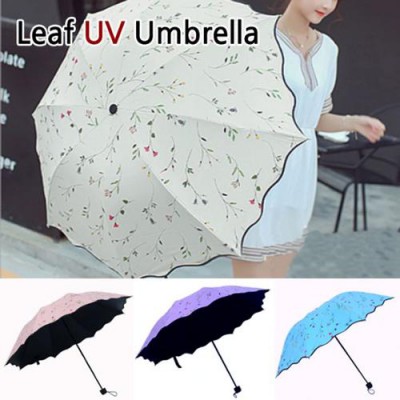 LeAf UV 나뭇잎 우산 4종