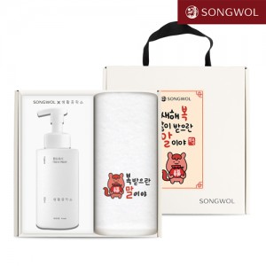 송월 핸드워시 기프트세트 38 (붉은 말이야 자수 호텔수건 150g 1P + 생활공작소500ml 1P)