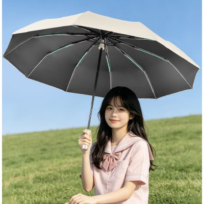 Blossom 모던 골드 핸들 원터치 자동 양우산 1P