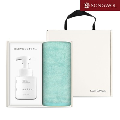 송월 핸드워시 기프트세트 17 (솔리드 뱀부무지 250g 1P + 생활공작소250ml 1P)