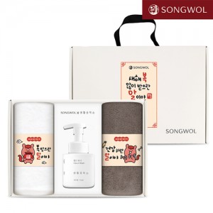 송월 핸드워시세트 19-1 (붉은 말이야 띠지 호텔수건 150g 2P + 생활공작소250ml 1P)